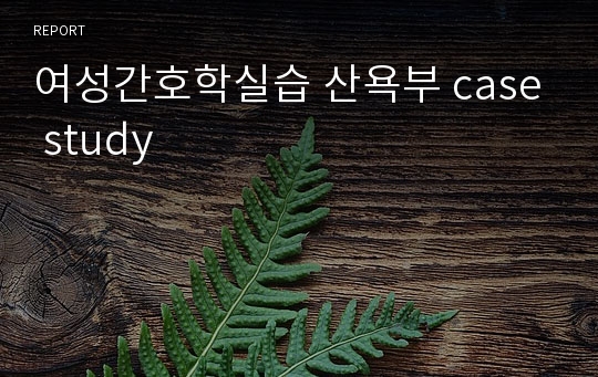 여성간호학실습 산욕부 case study