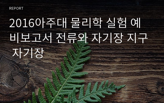 2016아주대 물리학 실험 예비보고서 전류와 자기장 지구 자기장