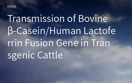 Transmission of Bovine β-Casein/Human Lactoferrin Fusion Gene in Transgenic Cattle