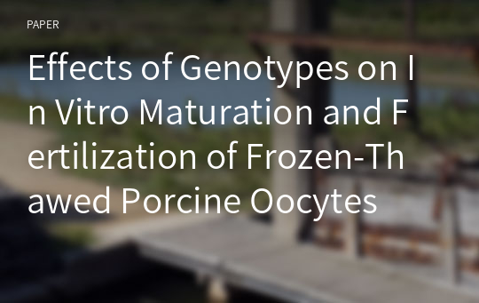 Effects of Genotypes on In Vitro Maturation and Fertilization of Frozen-Thawed Porcine Oocytes