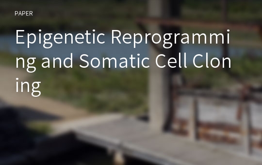 Epigenetic Reprogramming and Somatic Cell Cloning