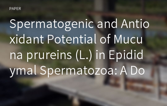 Spermatogenic and Antioxidant Potential of Mucuna prureins (L.) in Epididymal Spermatozoa: A Dose Dependent Effect