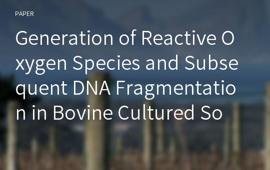 Generation of Reactive Oxygen Species and Subsequent DNA Fragmentation in Bovine Cultured Somatic Cells