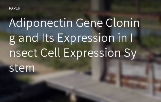 Adiponectin Gene Cloning and Its Expression in Insect Cell Expression System