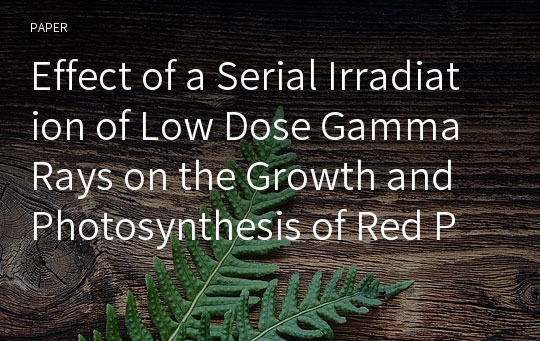 Effect of a Serial Irradiation of Low Dose Gamma Rays on the Growth and Photosynthesis of Red Pepper (Capsicum annuum L.) Plants