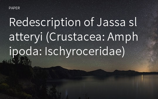 Redescription of Jassa slatteryi (Crustacea: Amphipoda: Ischyroceridae)
