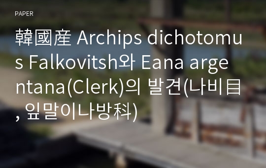 韓國産 Archips dichotomus Falkovitsh와 Eana argentana(Clerk)의 발견(나비目, 잎말이나방科)