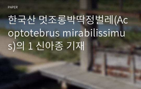 한국산 멋조롱박딱정벌레(Acoptotebrus mirabilissimus)의 1 신아종 기재