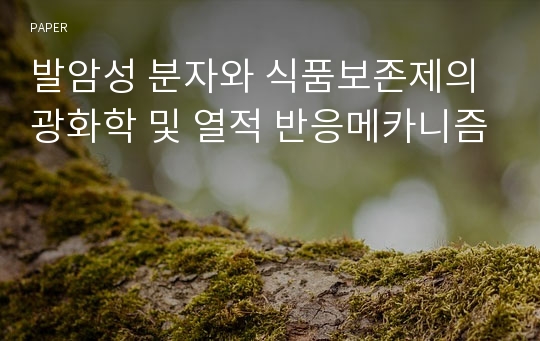 발암성 분자와 식품보존제의 광화학 및 열적 반응메카니즘