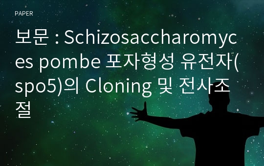 보문 : Schizosaccharomyces pombe 포자형성 유전자(spo5)의 Cloning 및 전사조절