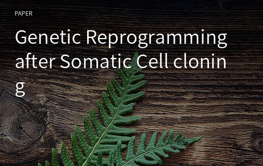 Genetic Reprogramming after Somatic Cell cloning