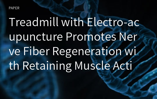 Treadmill with Electro-acupuncture Promotes Nerve Fiber Regeneration with Retaining Muscle Activity after Sciatic Nerve Injury in Rat
