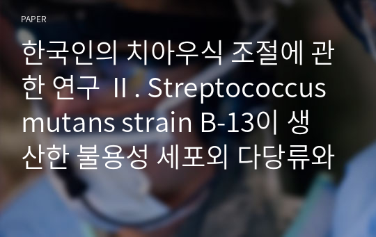 한국인의 치아우식 조절에 관한 연구 Ⅱ. Streptococcus mutans strain B-13이 생산한 불용성 세포외 다당류와 dextransucrase 활성