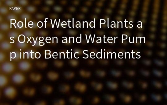 Role of Wetland Plants as Oxygen and Water Pump into Bentic Sediments