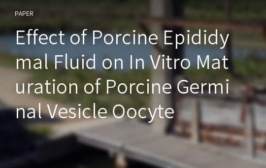 Effect of Porcine Epididymal Fluid on In Vitro Maturation of Porcine Germinal Vesicle Oocyte