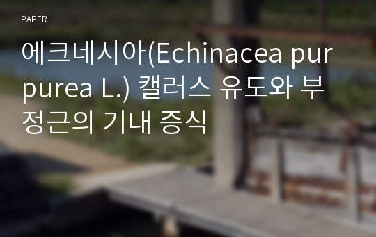 에크네시아(Echinacea purpurea L.) 캘러스 유도와 부정근의 기내 증식