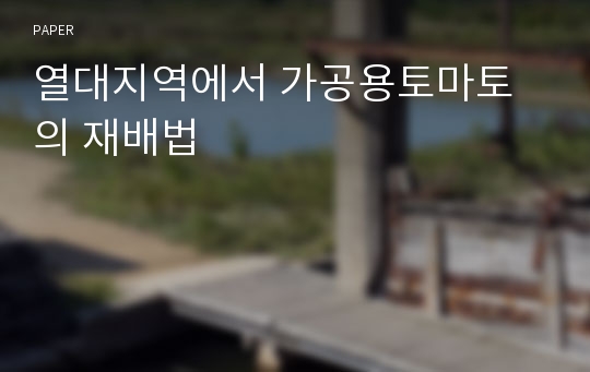 열대지역에서 가공용토마토의 재배법