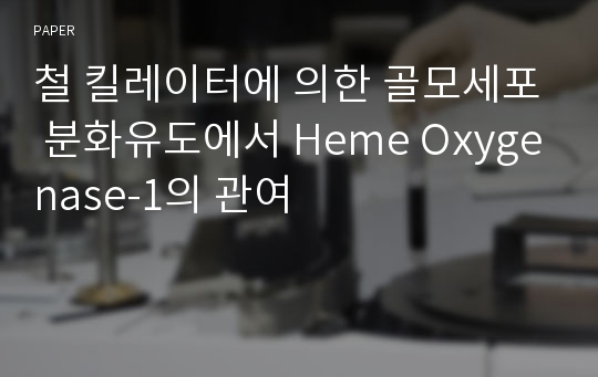 철 킬레이터에 의한 골모세포 분화유도에서 Heme Oxygenase-1의 관여