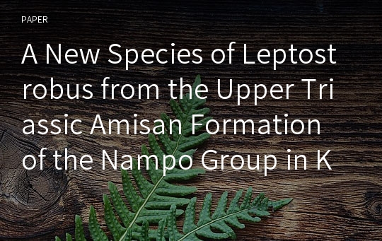 A New Species of Leptostrobus from the Upper Triassic Amisan Formation of the Nampo Group in Korea