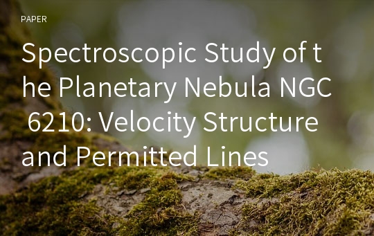 Spectroscopic Study of the Planetary Nebula NGC 6210: Velocity Structure and Permitted Lines