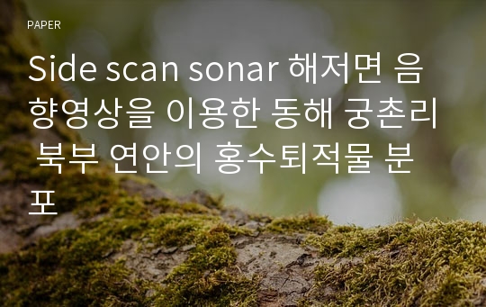 Side scan sonar 해저면 음향영상을 이용한 동해 궁촌리 북부 연안의 홍수퇴적물 분포