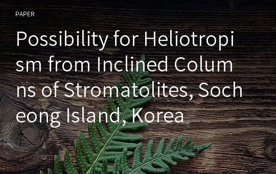 Possibility for Heliotropism from Inclined Columns of Stromatolites, Socheong Island, Korea