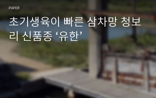 초기생육이 빠른 삼차망 청보리 신품종 ‘유한’