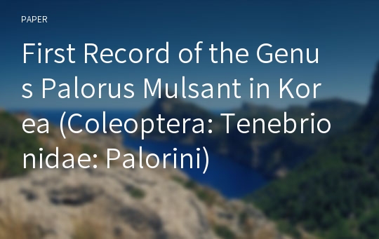 First Record of the Genus Palorus Mulsant in Korea (Coleoptera: Tenebrionidae: Palorini)