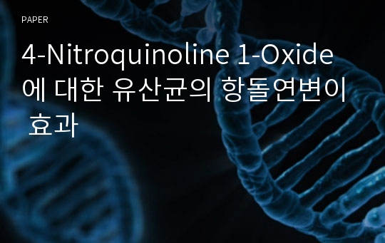 4-Nitroquinoline 1-Oxide에 대한 유산균의 항돌연변이 효과