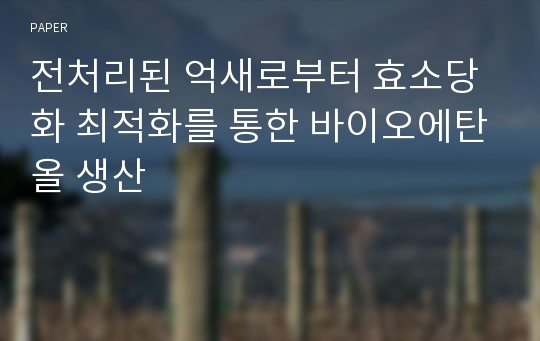 전처리된 억새로부터 효소당화 최적화를 통한 바이오에탄올 생산