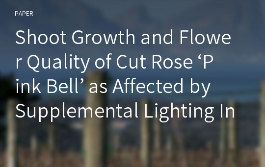 Shoot Growth and Flower Quality of Cut Rose ‘Pink Bell’ as Affected by Supplemental Lighting Intensity