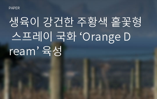 생육이 강건한 주황색 홑꽃형 스프레이 국화 ‘Orange Dream’ 육성