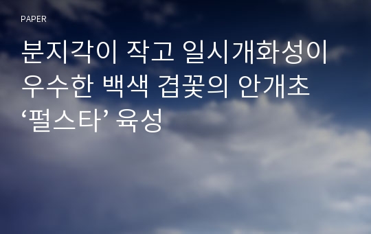 분지각이 작고 일시개화성이 우수한 백색 겹꽃의 안개초 ‘펄스타’ 육성