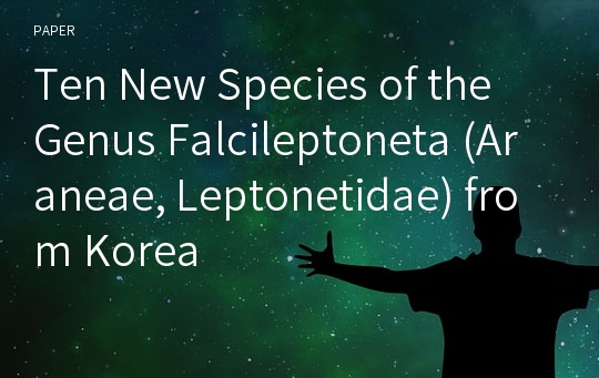 Ten New Species of the Genus Falcileptoneta (Araneae, Leptonetidae) from Korea