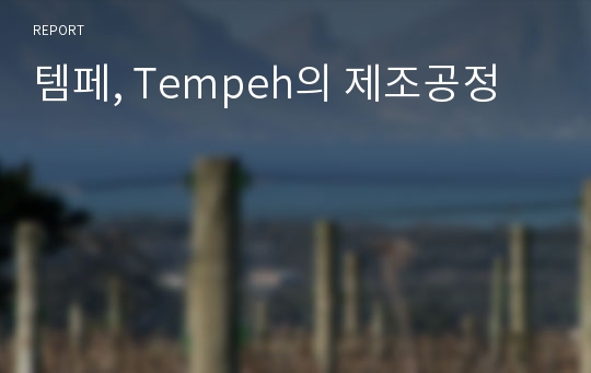 템페, Tempeh의 제조공정