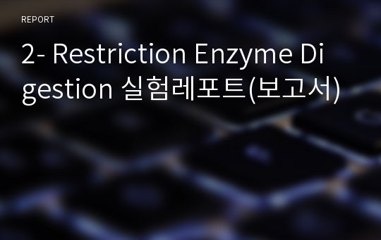 2- Restriction Enzyme Digestion 실험레포트(보고서)