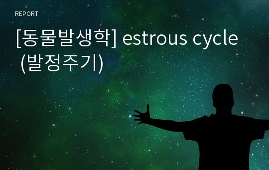 [동물발생학] estrous cycle (발정주기)