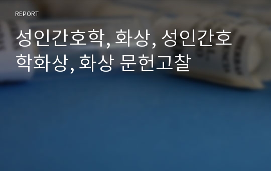 성인간호학, 화상, 성인간호학화상, 화상 문헌고찰