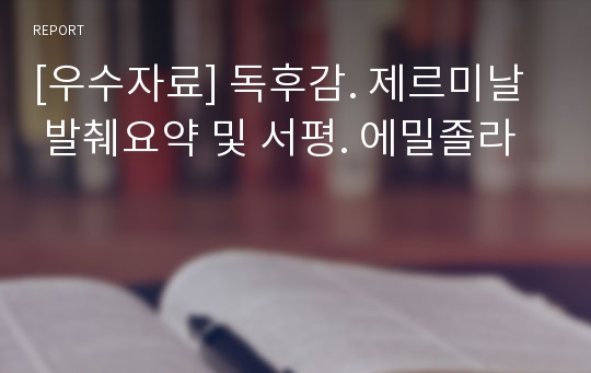 [우수자료] 독후감. 제르미날  발췌요약 및 서평. 에밀졸라