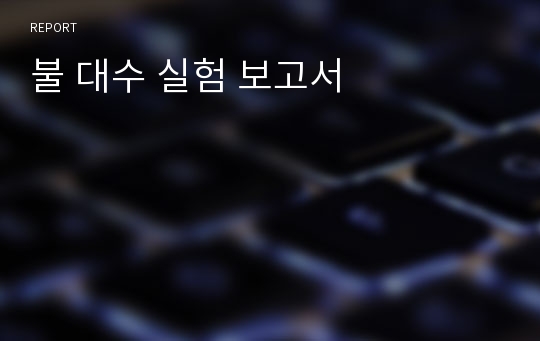 불 대수 실험 보고서