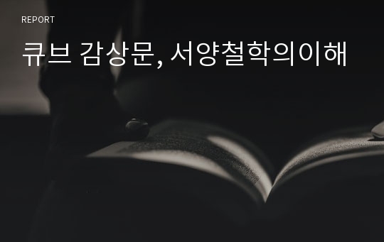 큐브 감상문, 서양철학의이해