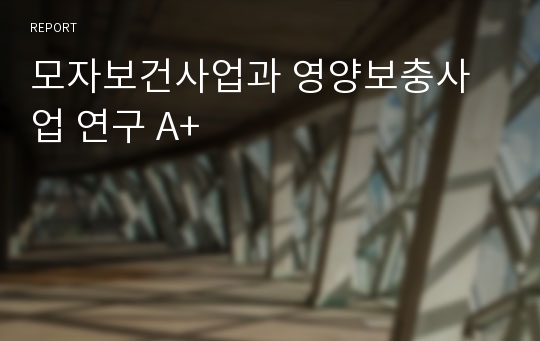 모자보건사업과 영양보충사업 연구 A+