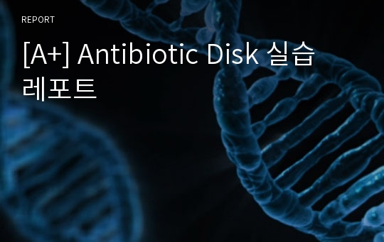 [A+] Antibiotic Disk 실습 레포트