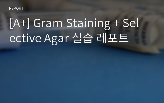 [A+] Gram Staining + Selective Agar 실습 레포트