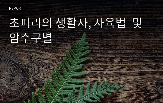 초파리의 생활사, 사육법  및 암수구별