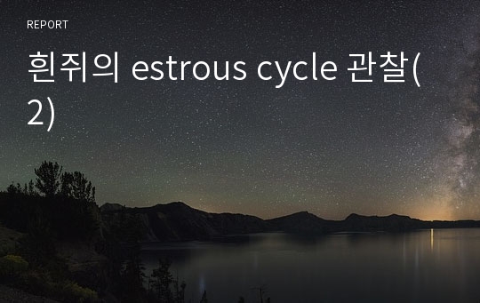 흰쥐의 estrous cycle 관찰(2)