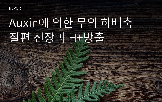 Auxin에 의한 무의 하배축 절편 신장과 H+방출