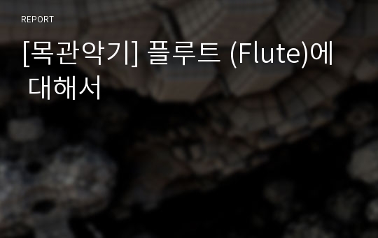 [목관악기] 플루트 (Flute)에 대해서