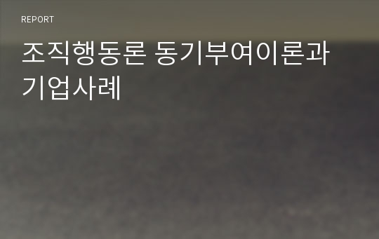 조직행동론 동기부여이론과 기업사례