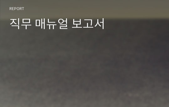 직무 매뉴얼 보고서